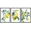 «Kitchen Food Watercolor Lemon Fruits», reproduction sur toile encadrée de 3 pièces-91874944-91874945