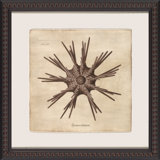 Sepia Sea Collection III Painting