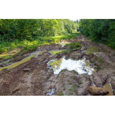 Muddy Road In Forest by Laures - Wrapped Canvas Print