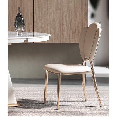 Chaise de salle à manger moderne en acier inoxydable