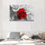 1 Piece Wrapped Canvas Wall Art