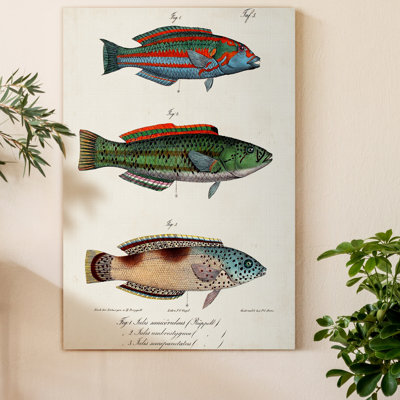 " Antique Fish Trio I "