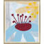 Olearia Painting by Susan Hable