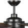Aiyla 54'' Ceiling Fan with LED Lights