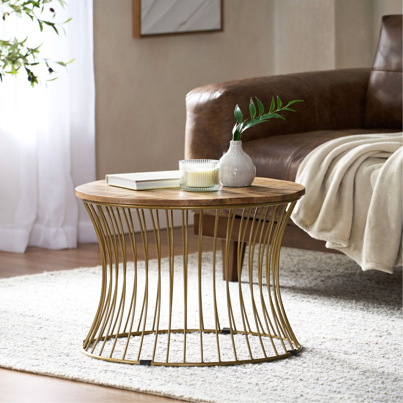 Natural Mango Wood and Gold Round Coffee Table with Storage