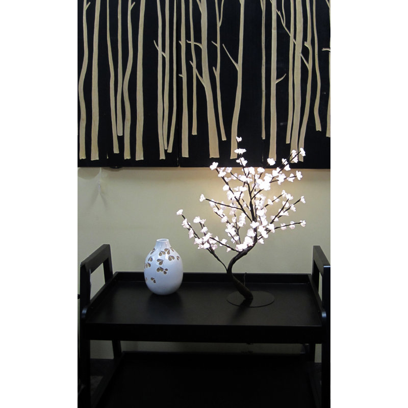 Bonsaïs illuminés et branches, Blanc