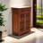 Chinese Classical Rosewood 2-Door Shoe Cabinet for 12 Pair Shoe Storage Cabinet