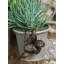 Gerow Animals UV Resistant Stone Garden Statue