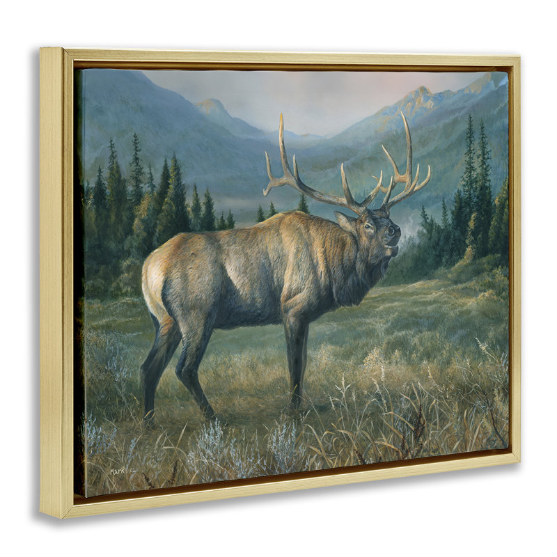 «Powerful Elk in Field» par Laura Mark-Finberg, H 25 po x l 31 po, Cadre flottant noir de jais