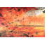 « écarlate tempest », impression sur toile tendue-14262040