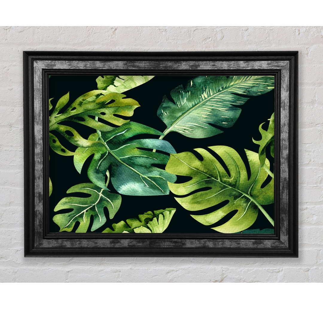 Monstera Mixed Leaves - Einzelne Bilderrahmen Kunstdrucke