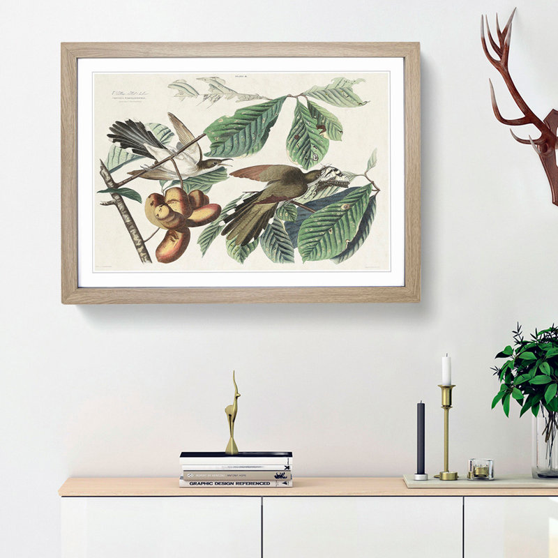 Yellow-Billed Cuckoo Birds by John Audubon - Framed Print, 36cm H x 48cm W x 2cm D, Oak Framed