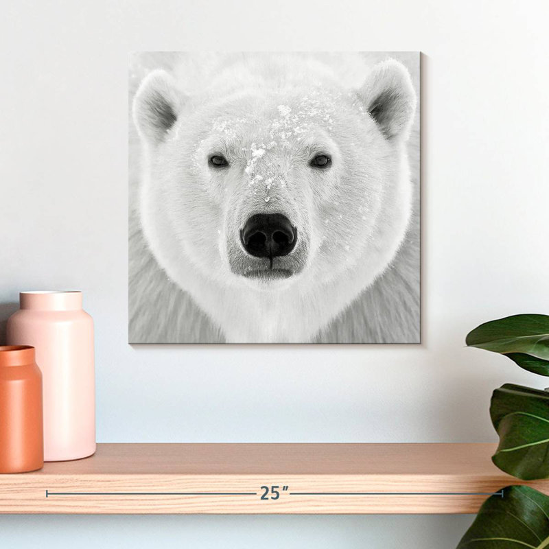 Crowle Polar Bear Face