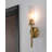 Aaidah 18'' Wall Sconce - Clear Ribbed Glass Shade-1157228256