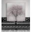 «Blossoms of Spring IV», reproduction de photo sur toile-32972356-33511738