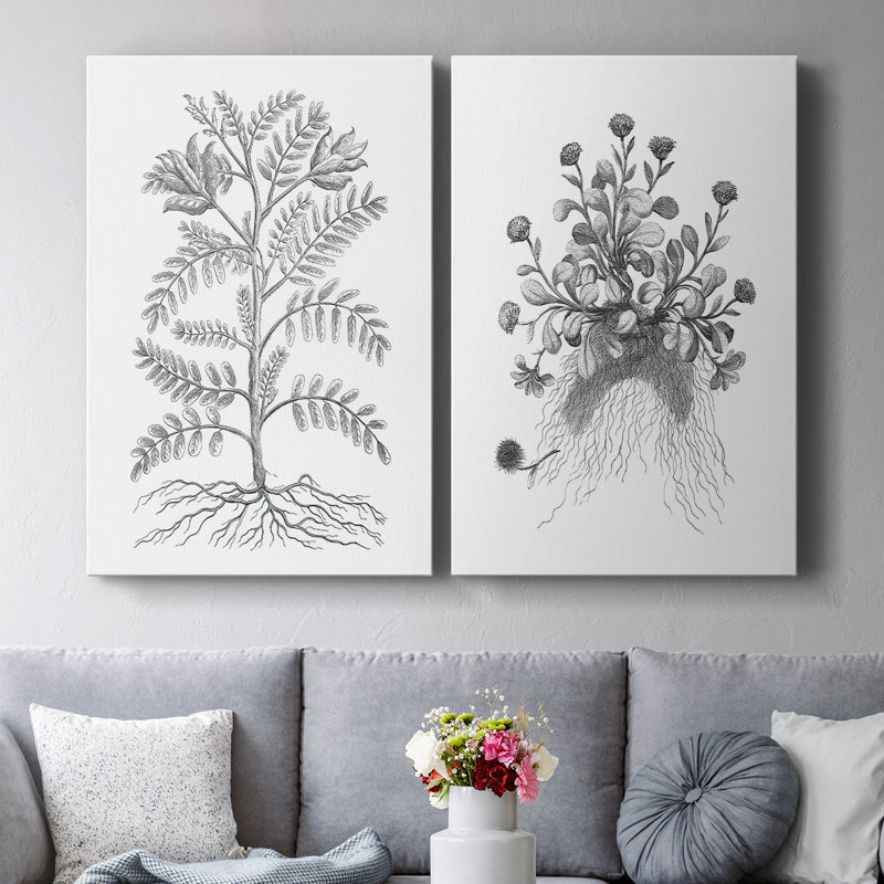 Toile tendue avec châssis noir et blanc pour plante B&W - prêt à accrocher