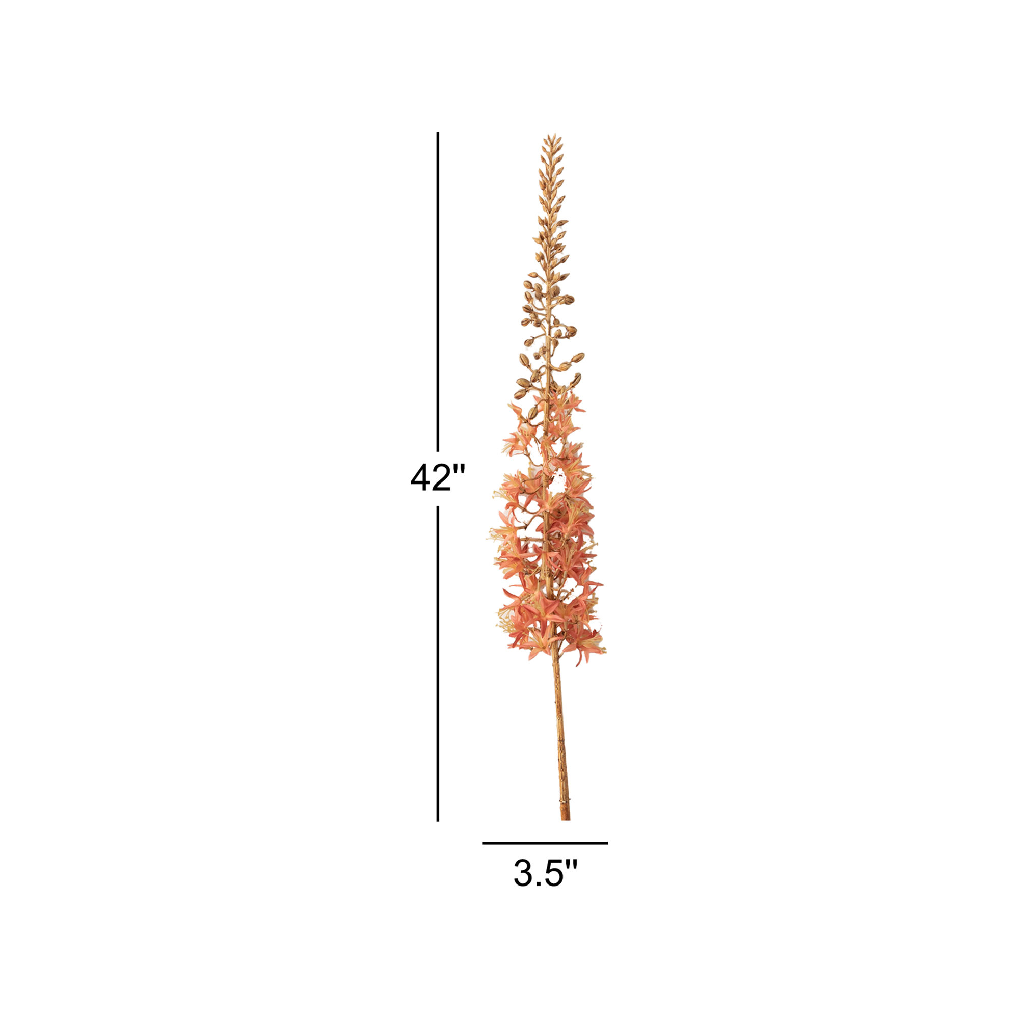 Eremurus Arrangement, Pink