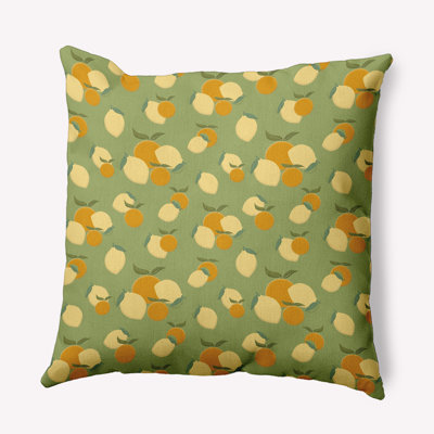  Polyester Throw Square Indoor/Outdoor Pillow Cover & Insert