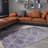 Premium Machine Washable Carpet, 4.6 x 6.2 Feet, 100% Polyester, 1850 g/m² | Pile Height: 0.2 Inches | Eco-Friendly Recycled Poly Cotton Underside | Perfect for Living Room, Bedroom, and High-Traffic Areas-1965504158