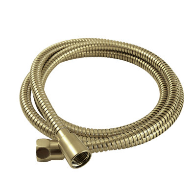 Kingston Brass H72SS5 Complement 72-Inch Stainless Steel Shower Hose, Oil Rubbed Bronze