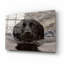 «Dog Shark» par John Silver-1550364862