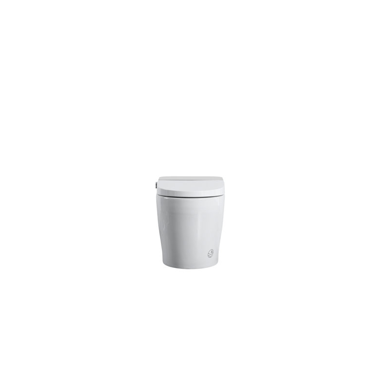 Smart Toilet With Built - In Bidet, One Piece Bidet Seat, Auto Flush, Open/Close, Heated Warm Water And Dry, Adjustable Temp, Remote Control, Sensor Open/Close Cover, Multiple Wash Modes, Night ,