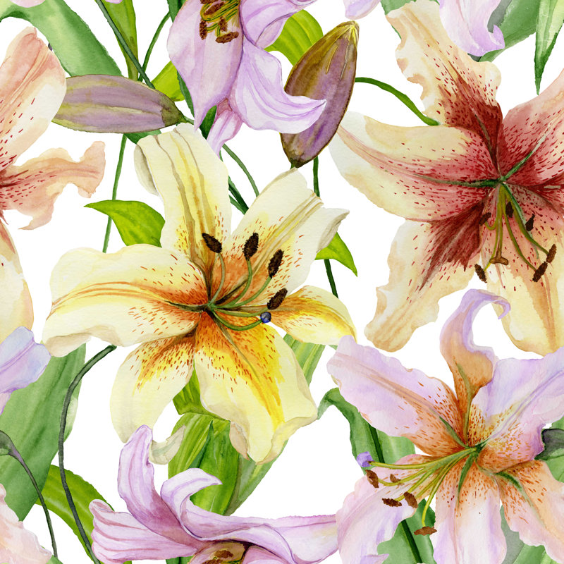 Adessa, belles fleurs de lys, H 12 po x l 12 po