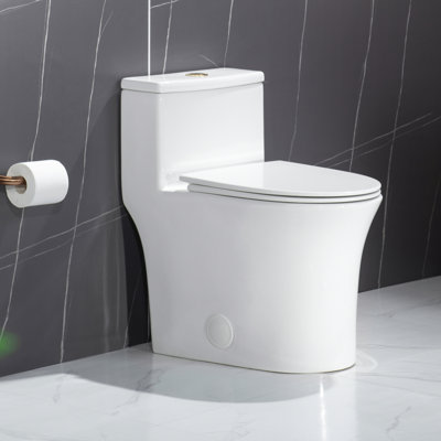 17" Comfort Height Toilet, One Piece Toilet, Best Elongated Toilet, Soft Close & Quick-Release Seat, Dual Flush, MAP 1000g Powerful Siphon Flush, Compact Fully Skirted, White,
