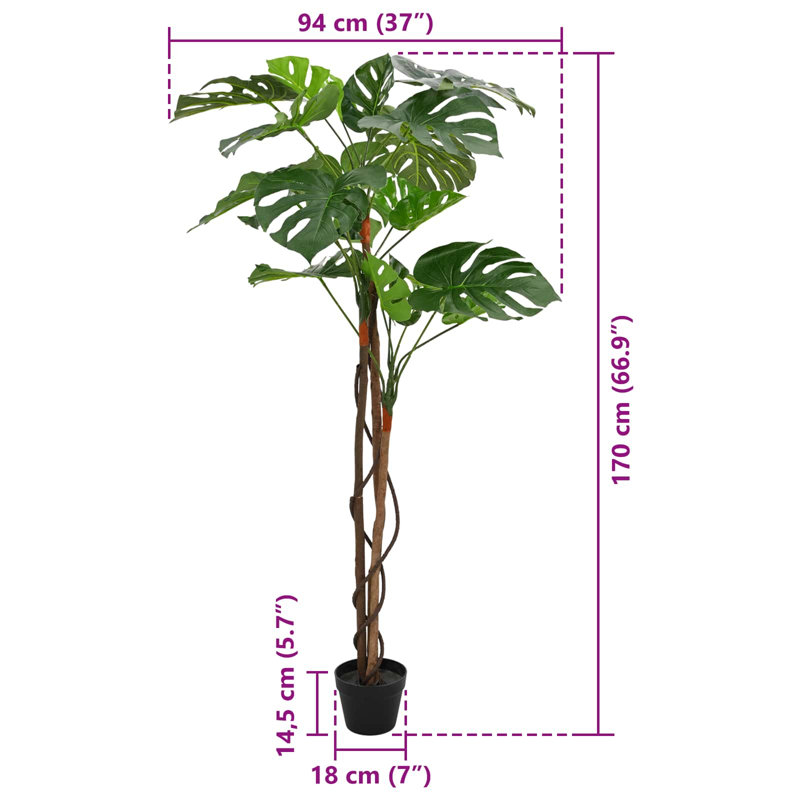 Plant, 170cm H x 94cm W x 18cm D