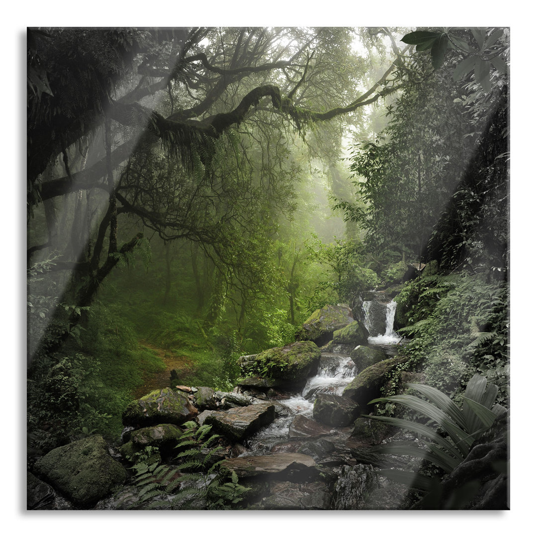 Glasbild Kleiner Wasserfall im Dschungel