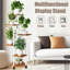 Plant Stand - Set of 6