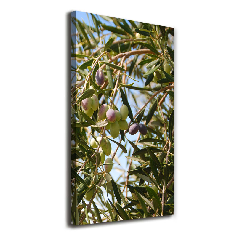 Olives On The Tree - Wrapped Canvas Print