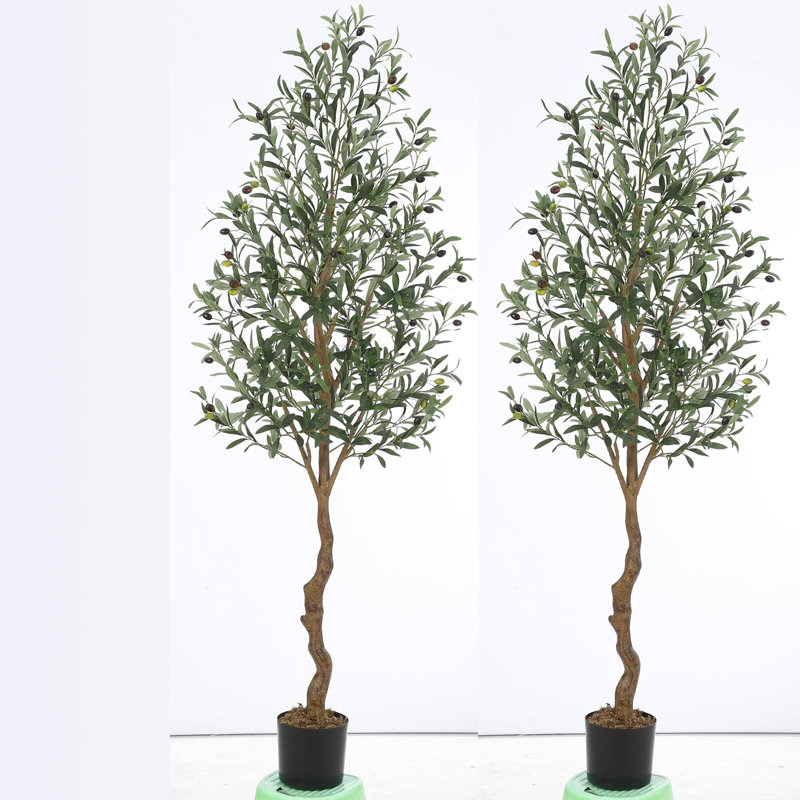 72'' Faux Olive Tree Tree in Pot, 2