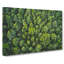 Green Tree Tops Painting - Wrapped Canvas-56661771