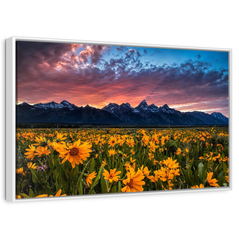 Grand Teton Wildflowers, Cadre flottant blanc, 37 po x 25 po
