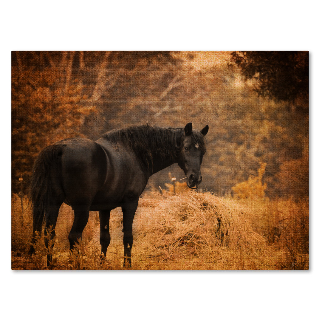 Vidur 'Horse and the Haystack' Graphic Art Print on Wrapped Canvas Millwood Pines 