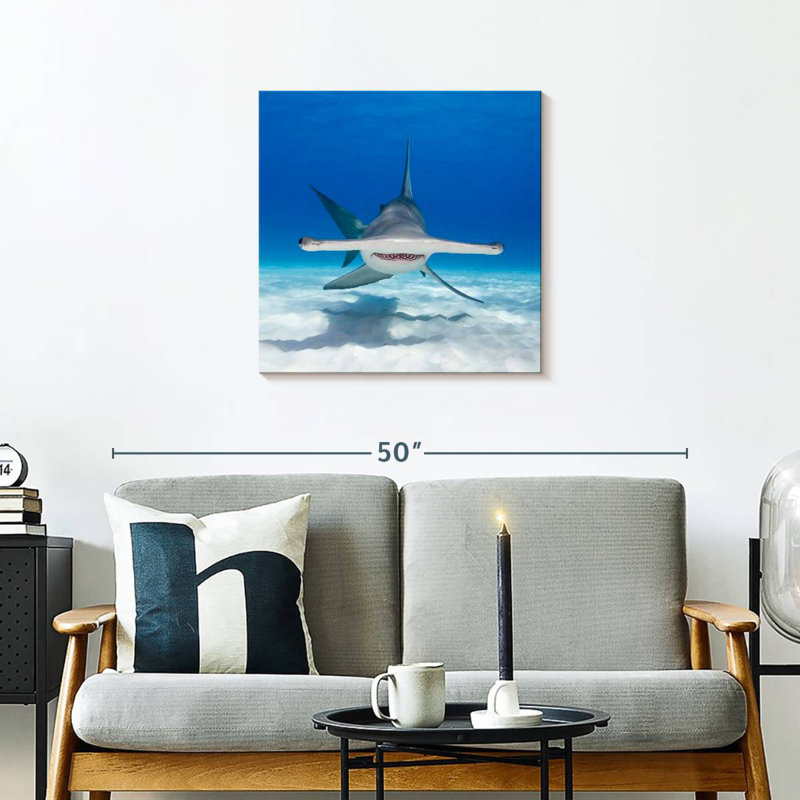 Brampt Hammerhead Shark Swimming, 24" H x 24" W