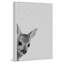 Fawn Surprise II - Drawing on Canvas-1636326077