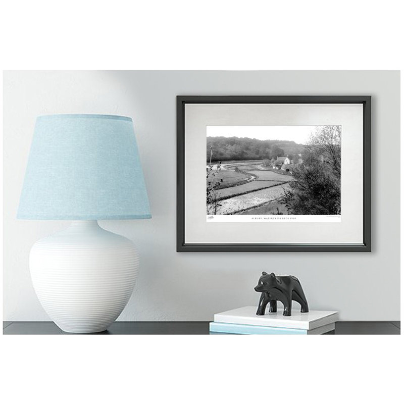 Albury, Watercress Beds 1909 by Francis Frith - Single Picture Frame Print, 40cm H x 50cm W x 2.3cm D