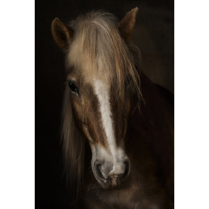 Wrapped Canvas Print, 76.2 cm H x 50.8 cm W