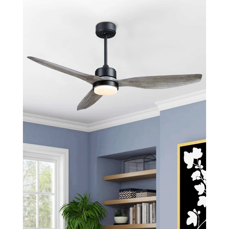 Ventilateur de plafond 51,96 po avec télécommande et ensemble d'éclairage inclus, Noir