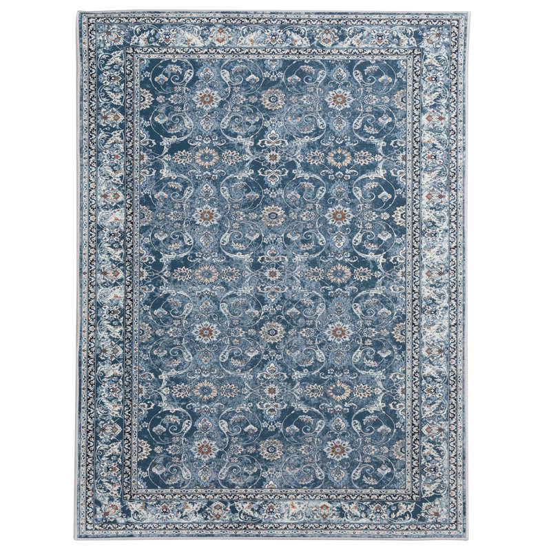 Paola Chenille Mashine Washable Vintage Indoor Arae Rug with Non-Slip Backing for Bedroom Living Room Kitchen Entryway