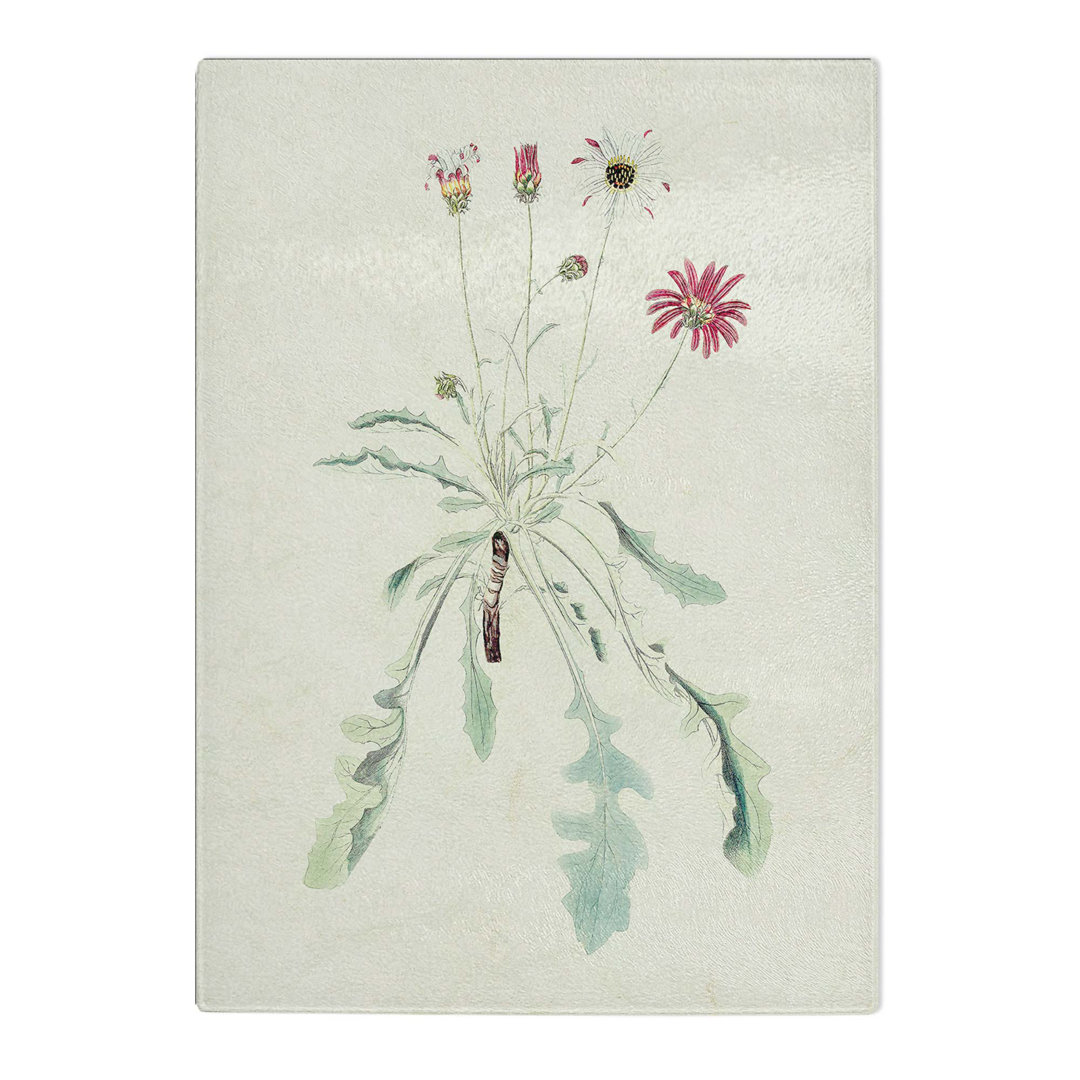 Tempered Glass Wild Flower Illustration Chopping Board
