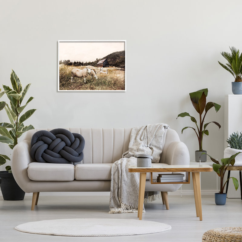 Automne, champ, moutons, pâture, grange sauvage - photographie, H 24 po x l 30 po, Giclée encadrée blanc bord de mer