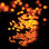 Guirlande de 5 lumières d'Halloween et de Noël décoratives, 100 ampoules, 100% imperméable, réutilisable