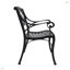 Chaises de salle à manger d'extérieur 2 pièces, chaises en fonte d'aluminium avec accoudoirs