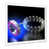 White Single Picture Framed