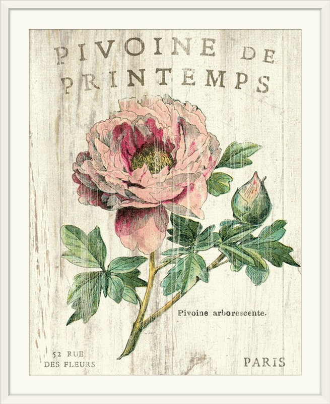 «Pivoine de Printemps», impression, Cadre blanc, H 44 po x l 37 po x P 1 po