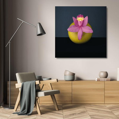 Orchid 1987