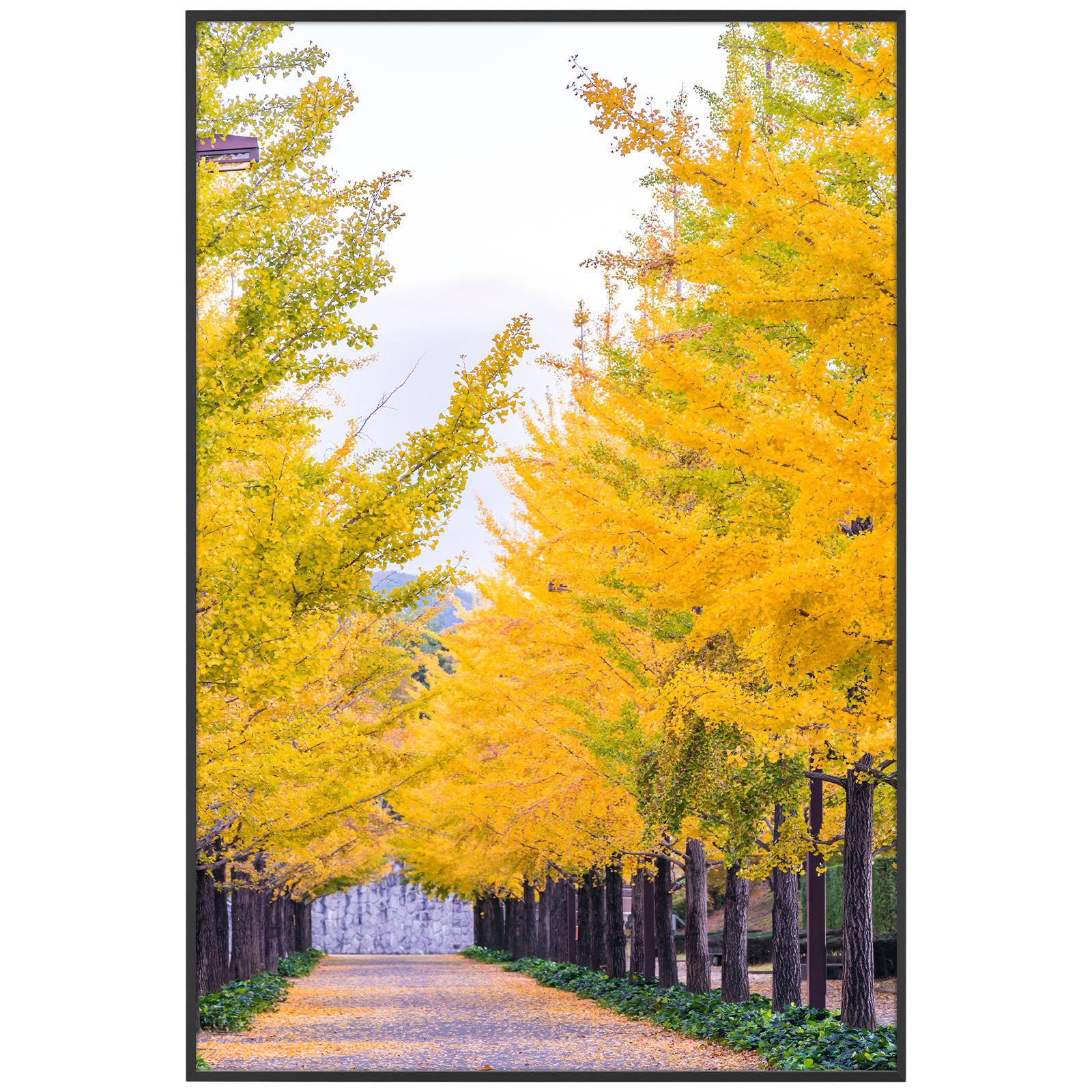 24" x 36" Wayfair Basics® Drennon Poster Frame Without Mat, Metal Picture Frame with Plexiglass for Photos, Art, Prints, Puzzles & Reviews | Wayfair